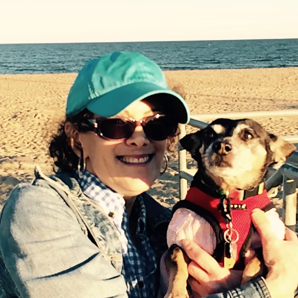 janeapplpiprogress.bsky.social's profile picture