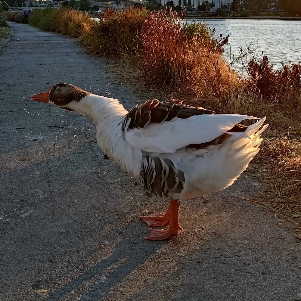 tim.dobbs.world's profile picture