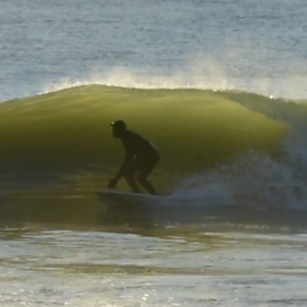 robertscribbler.bsky.social's profile picture