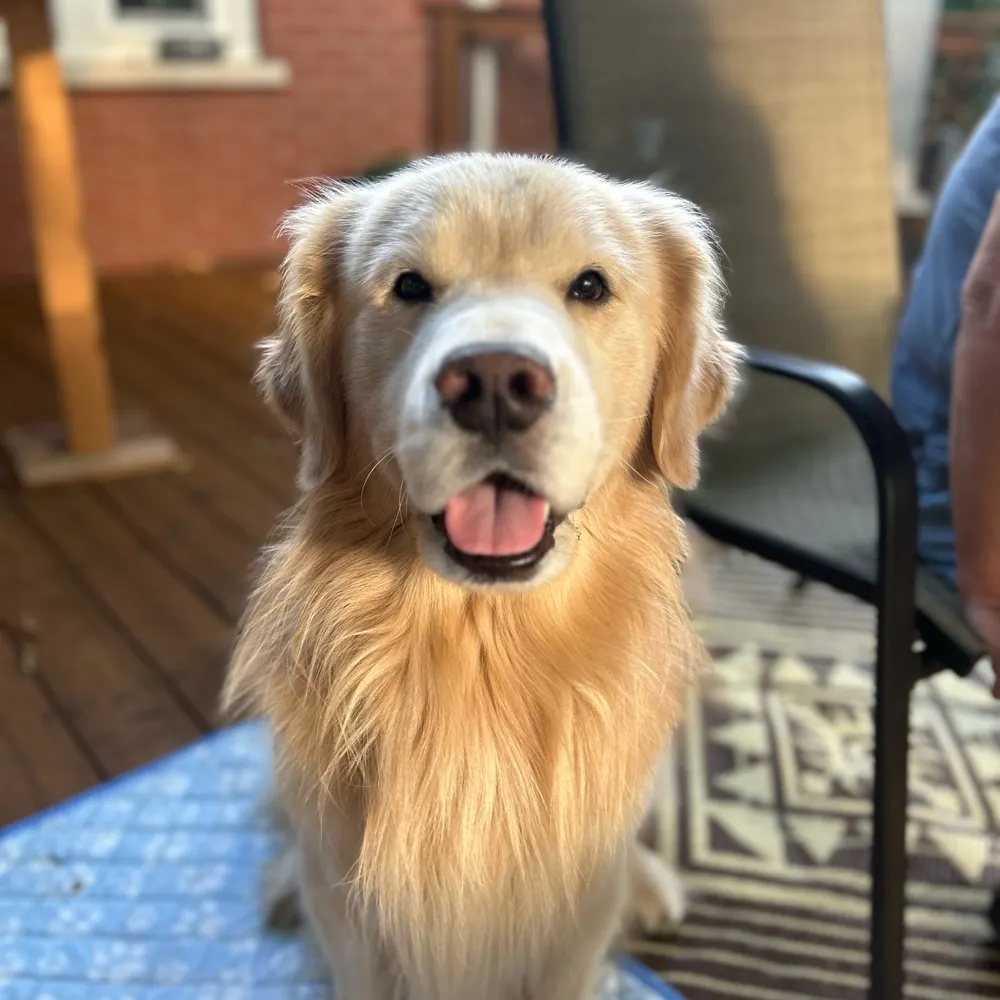 marklegac.bsky.social's profile picture