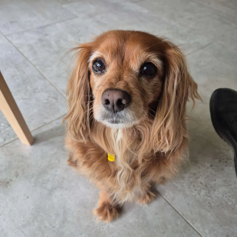 bobfender.bsky.social's profile picture