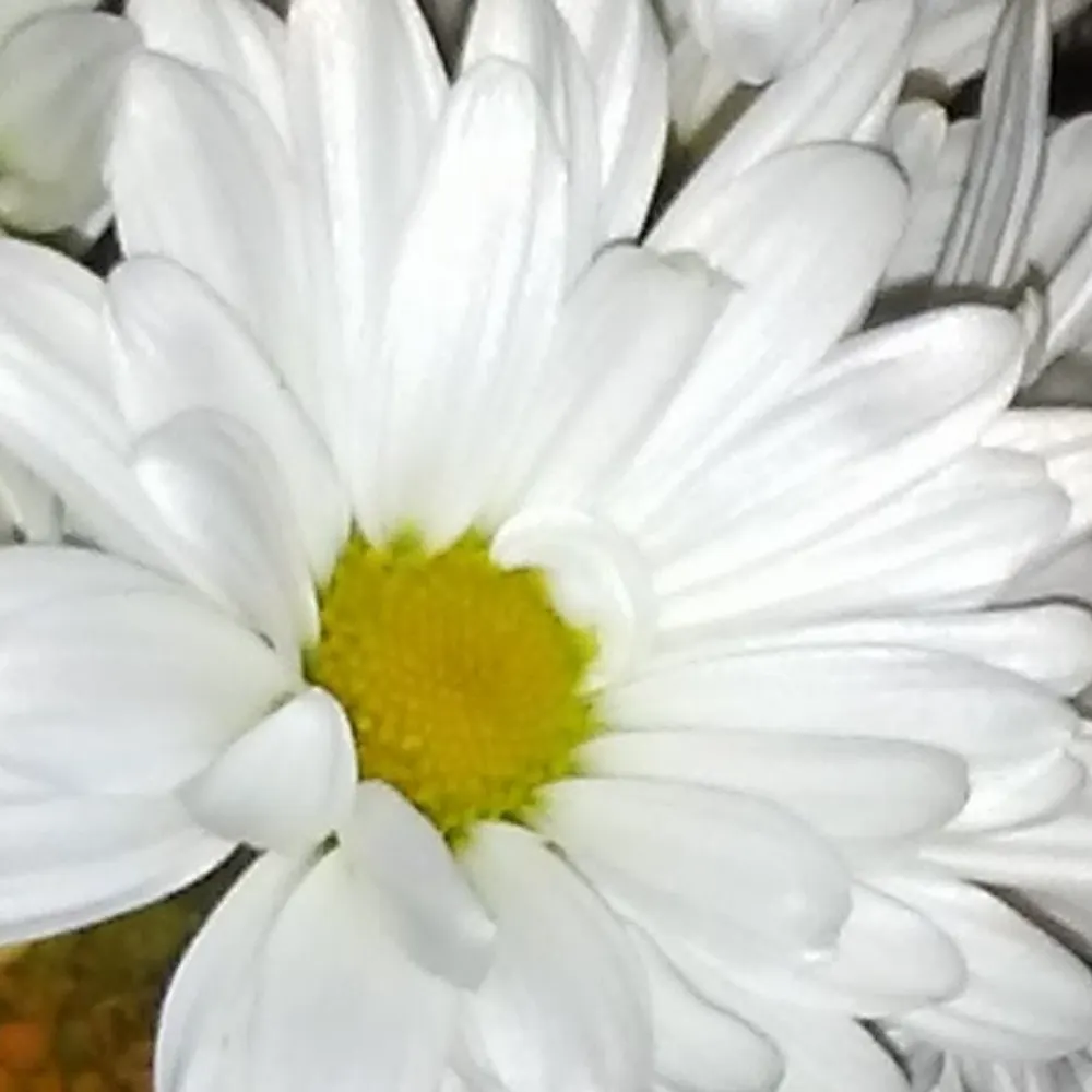 babeaware.bsky.social's profile picture