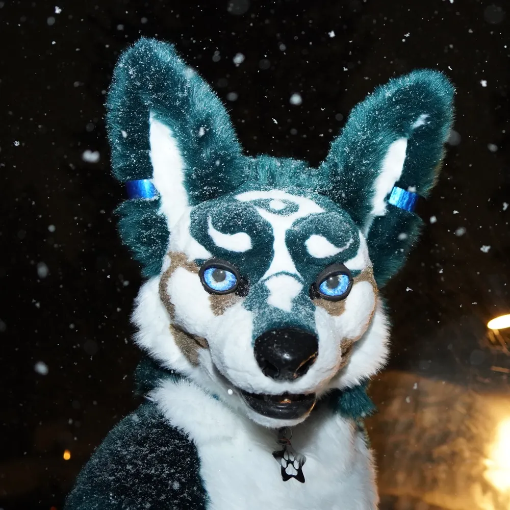 hylianwolflink.bsky.social's profile picture