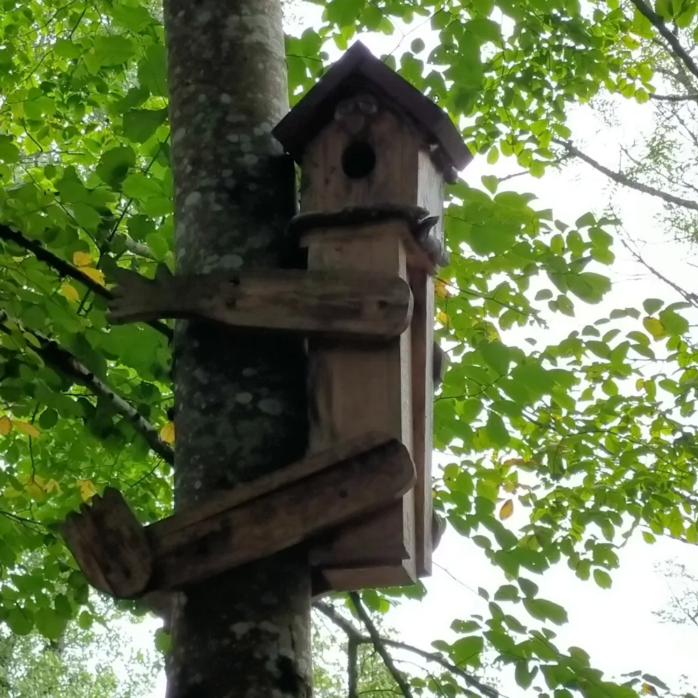 unjuanagain.bsky.social's profile picture