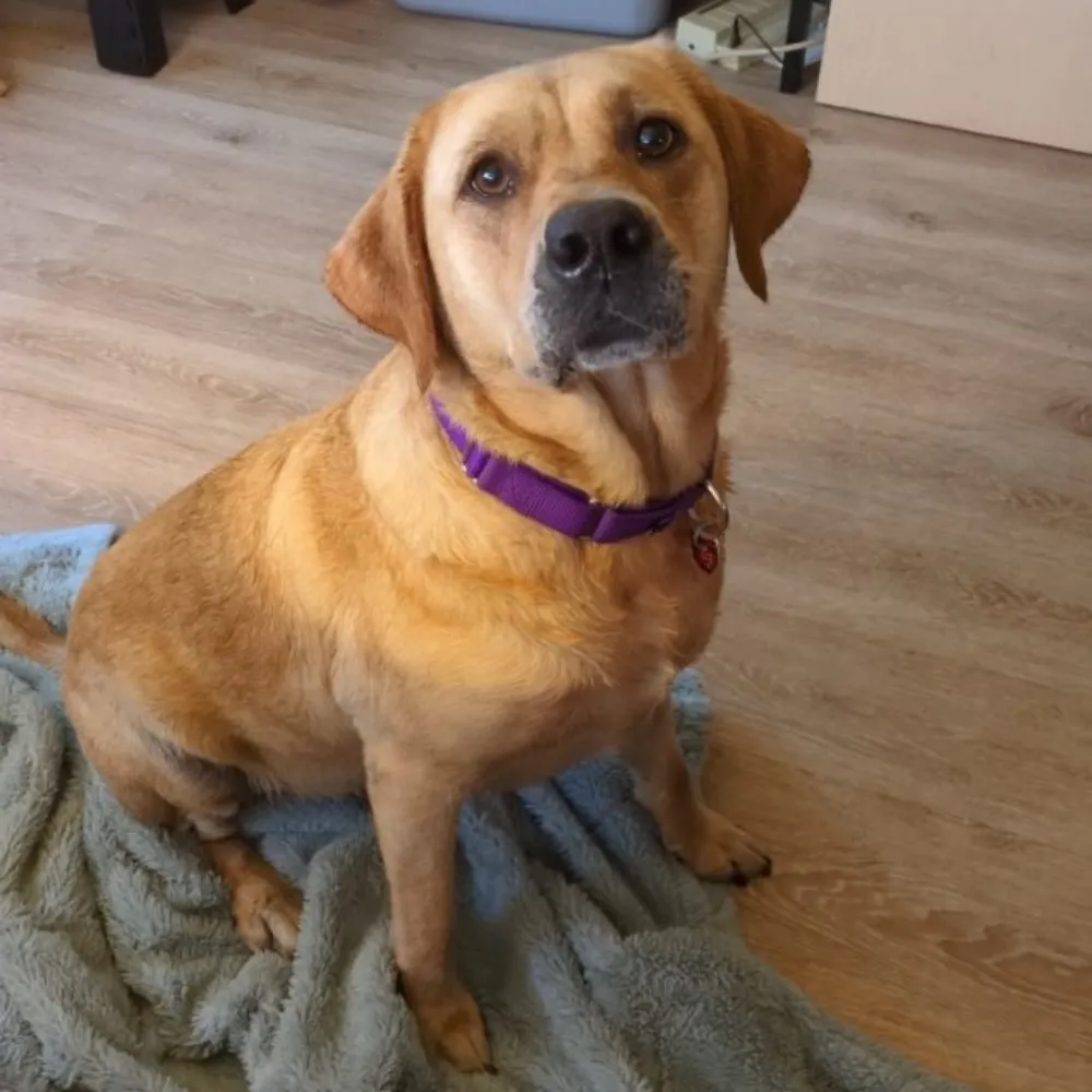 irishbynature.bsky.social's profile picture