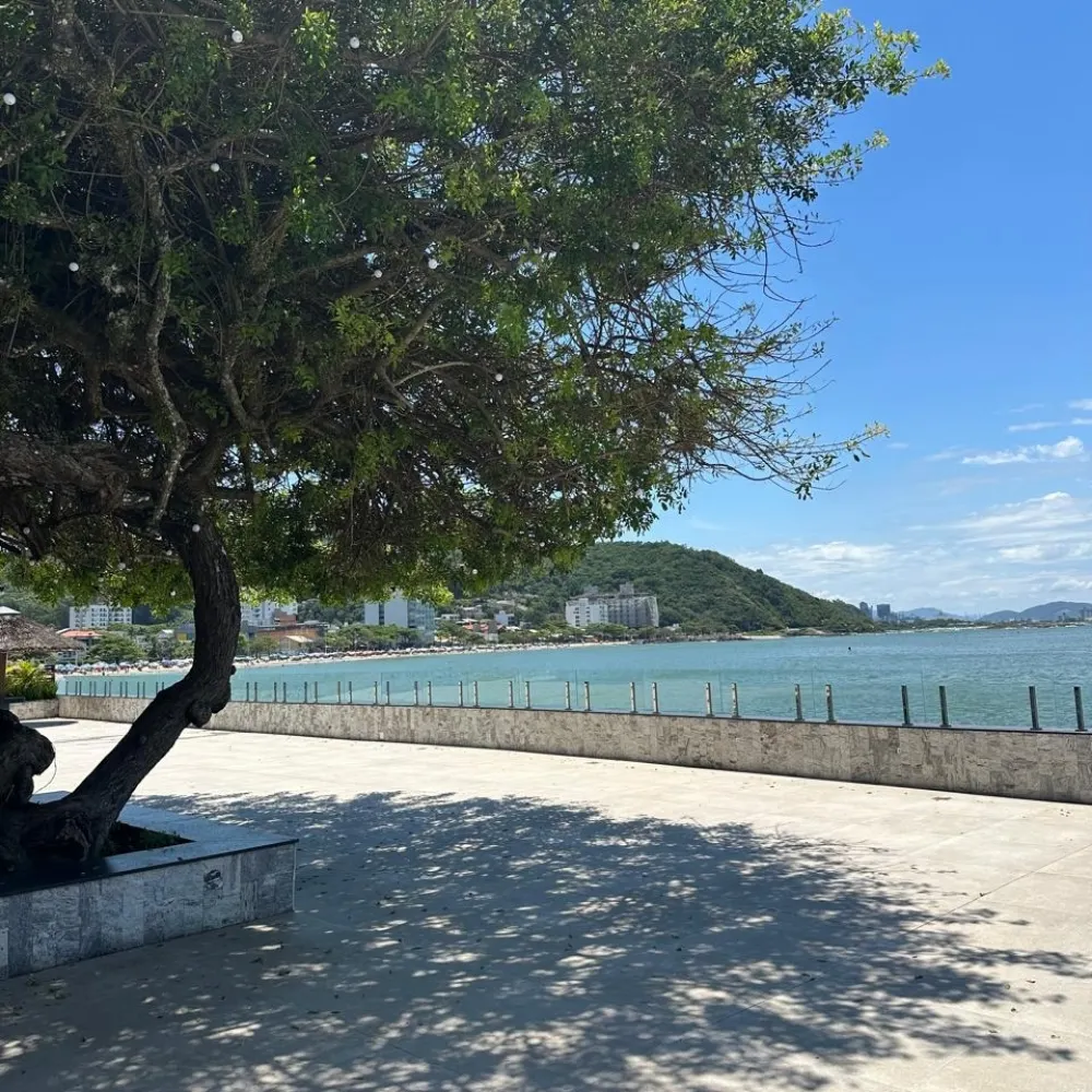 mone99.bsky.social's profile picture