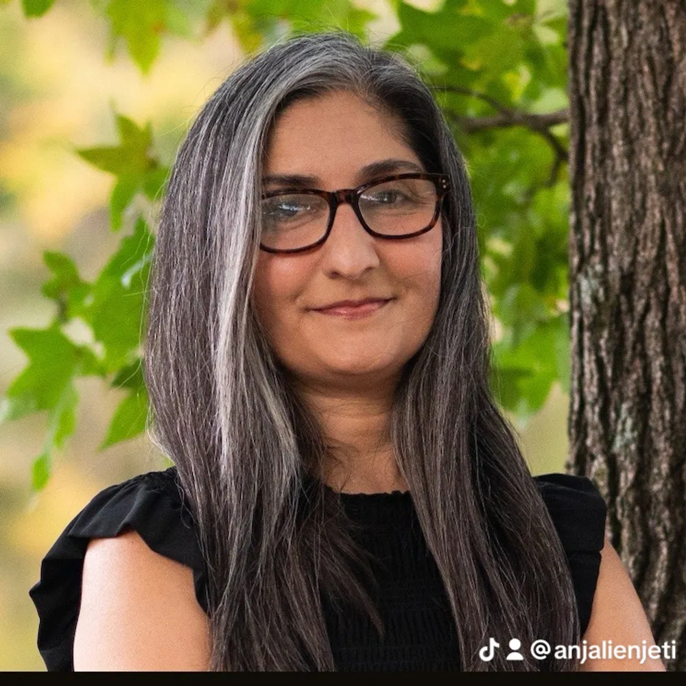 anjalienjeti.bsky.social's profile picture