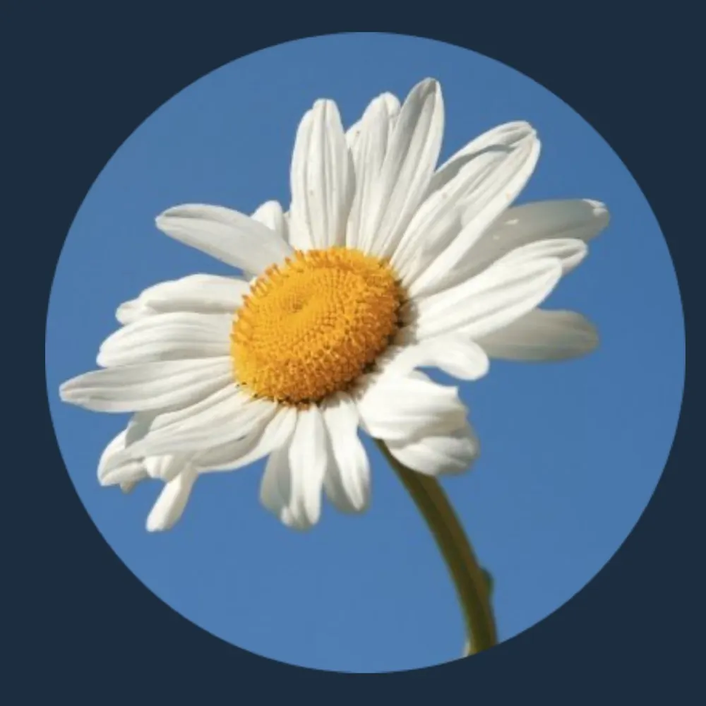 jenreadsromance.bsky.social's profile picture