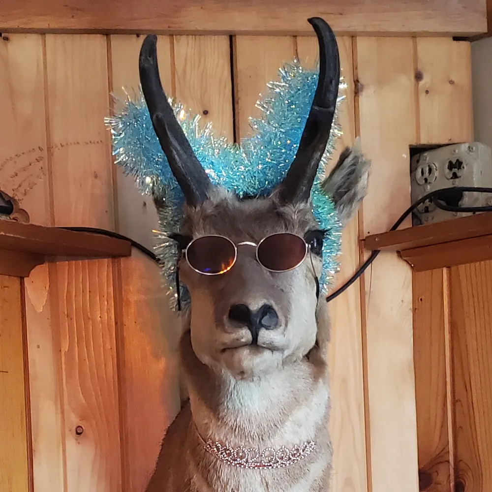 jennifermadison.bsky.social's profile picture