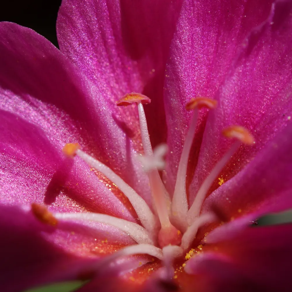 demme.bsky.social's profile picture