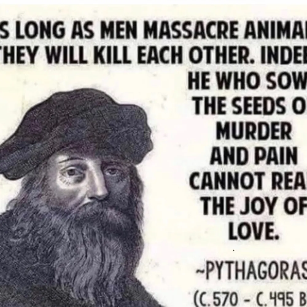 frastis.bsky.social's profile picture