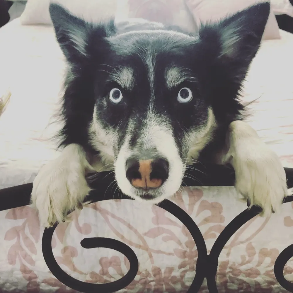 prdnme.bsky.social's profile picture