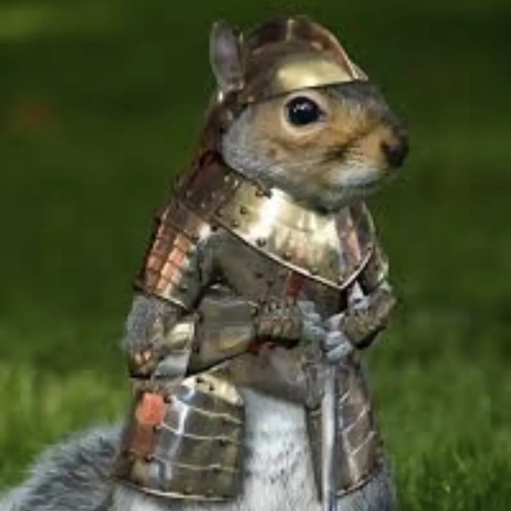 apdiarra.bsky.social's profile picture