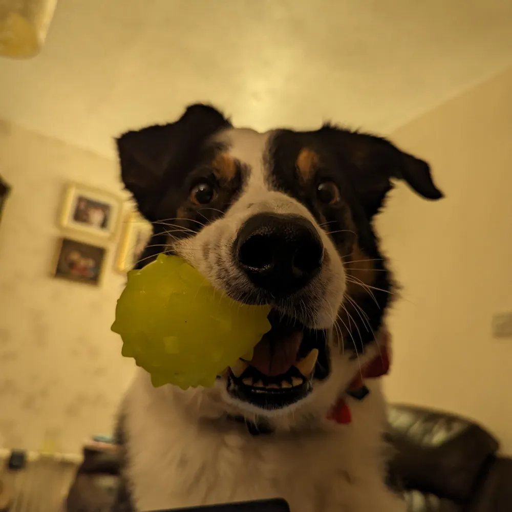 rbmdm.bsky.social's profile picture