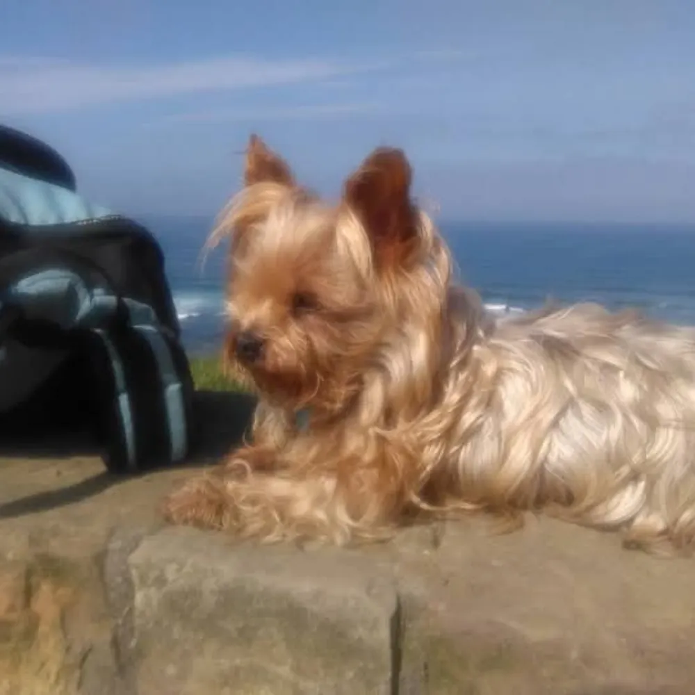 okay57.bsky.social's profile picture