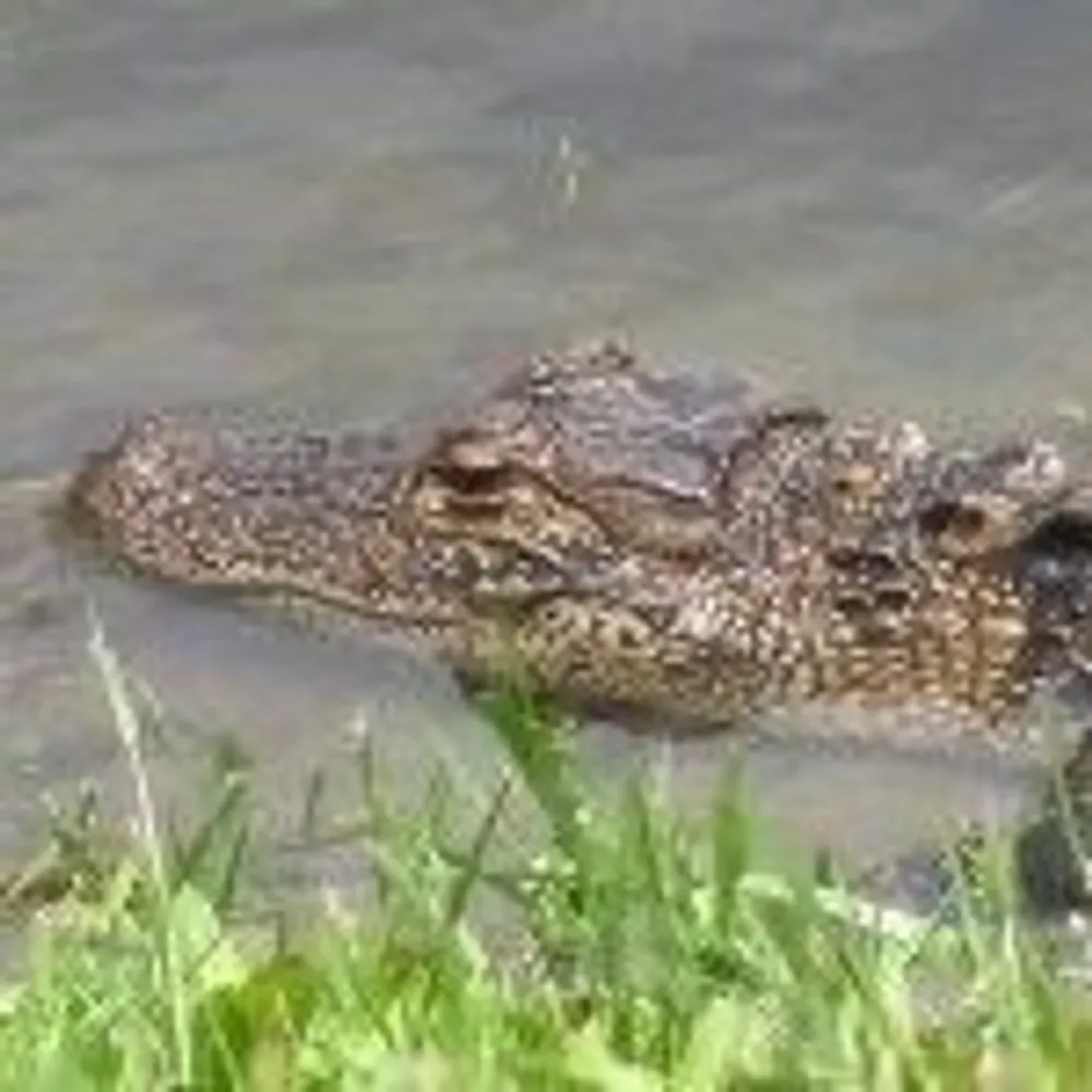 1bridger1.bsky.social's profile picture