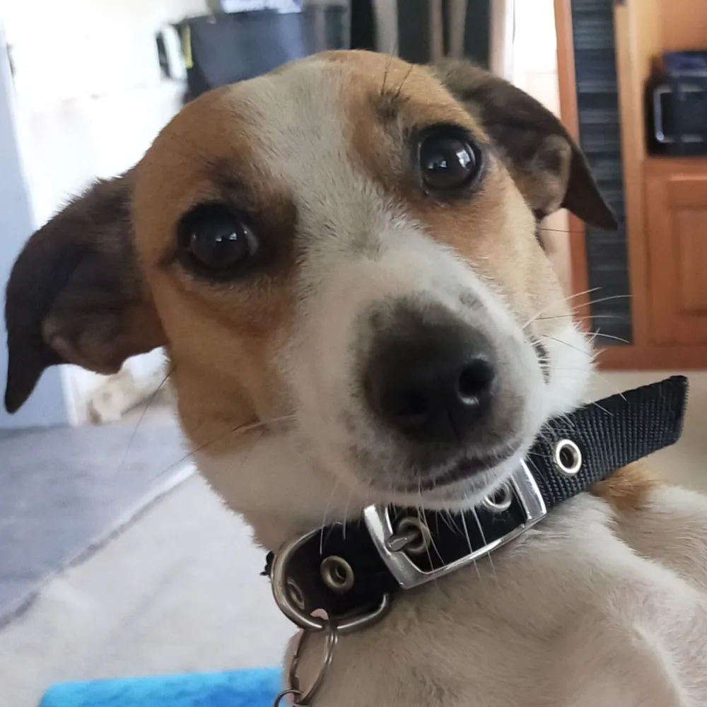 matuajacob.bsky.social's profile picture