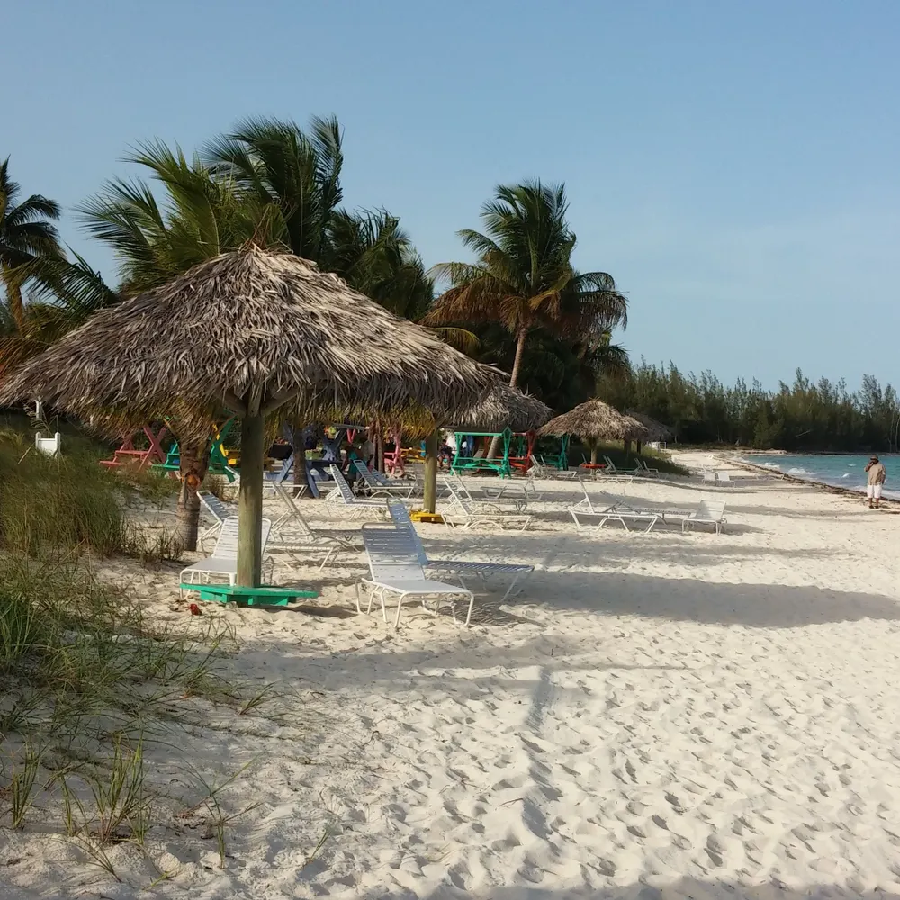 lilybaldwin220.bsky.social's profile picture