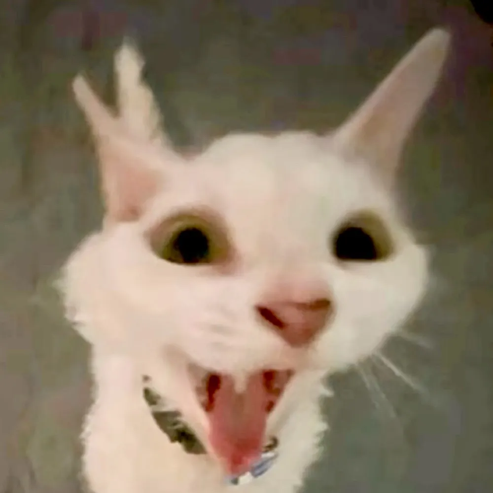 creamychknalfred-0.bsky.social's profile picture