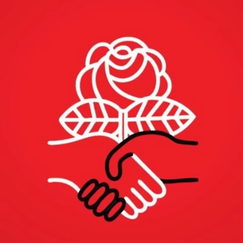 demsocialists.bsky.social's profile picture