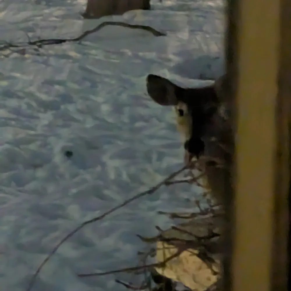 eldercleavage.bsky.social's profile picture