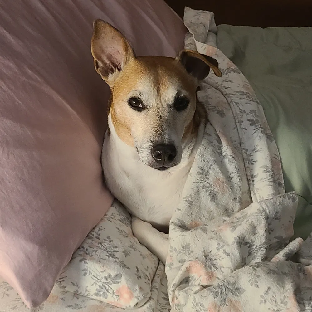 waldojeffers-13.bsky.social's profile picture