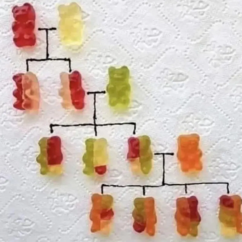 mpw6bst6r.bsky.social's profile picture