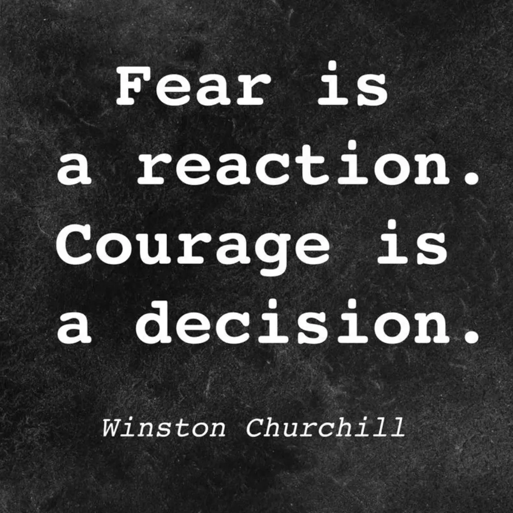 cdstewart.bsky.social's profile picture