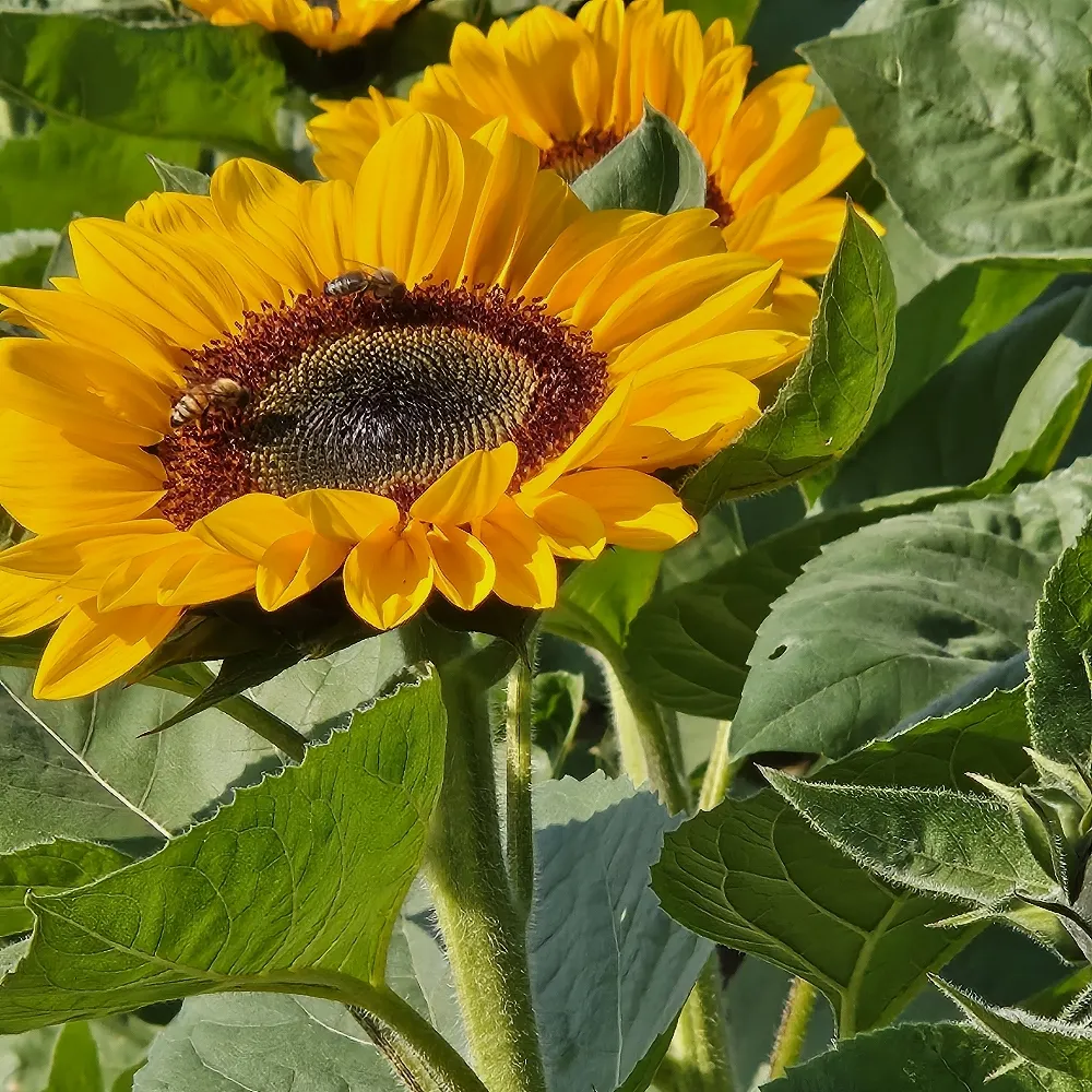 nocturnalbiking.bsky.social's profile picture