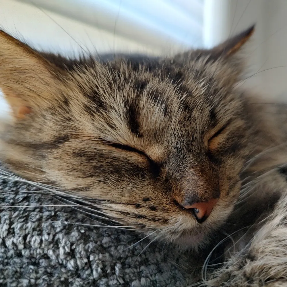 usmcwizard.bsky.social's profile picture