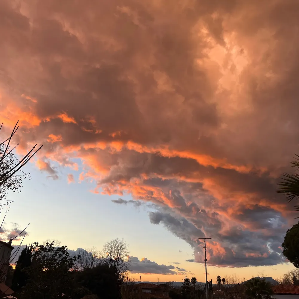 bgroc.bsky.social's profile picture