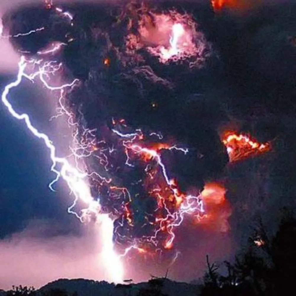 braak.bsky.social's profile picture