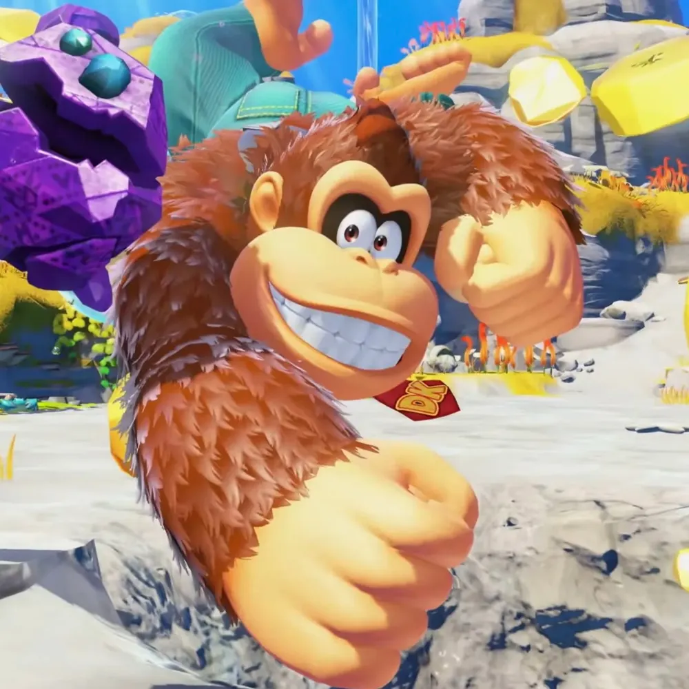 donkeykonga.bsky.social's profile picture