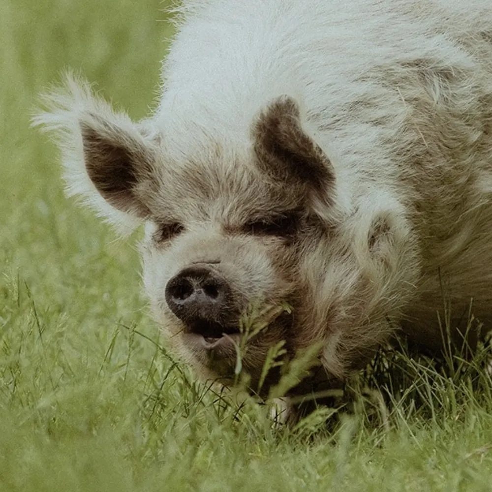 barnesarama.bsky.social's profile picture