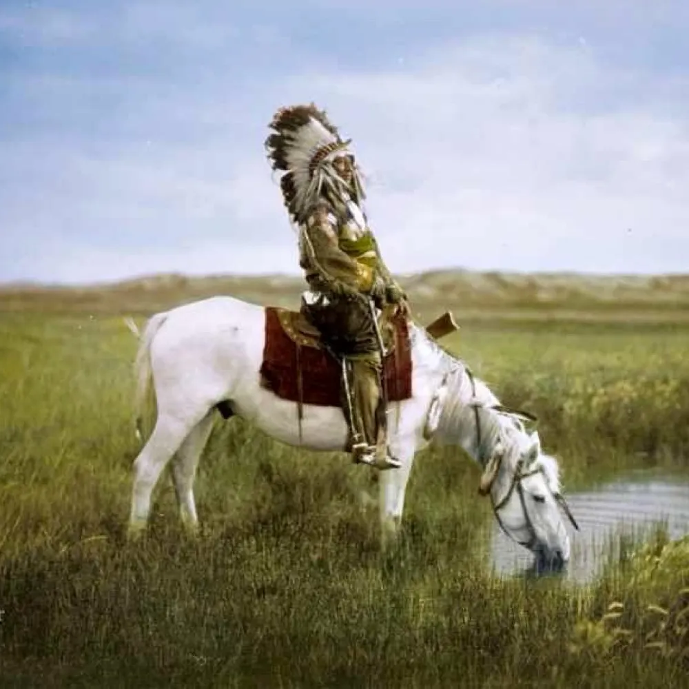 fusewiretheloud.bsky.social's profile picture