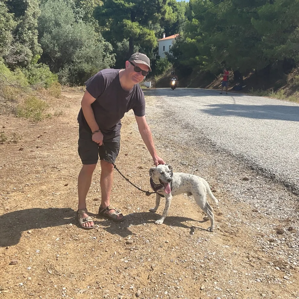 marktamuff.bsky.social's profile picture