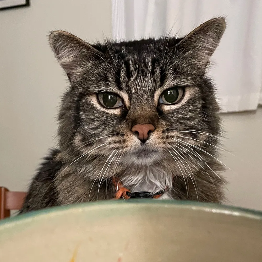 wes-brooks.bsky.social's profile picture