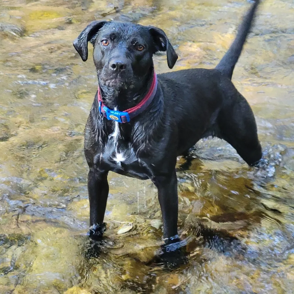 obrienvt.bsky.social's profile picture