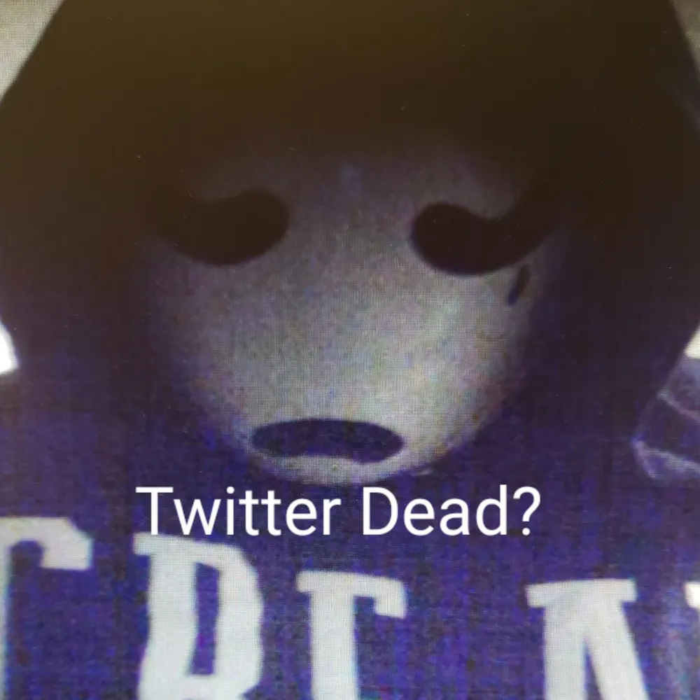 bignuts55.bsky.social's profile picture