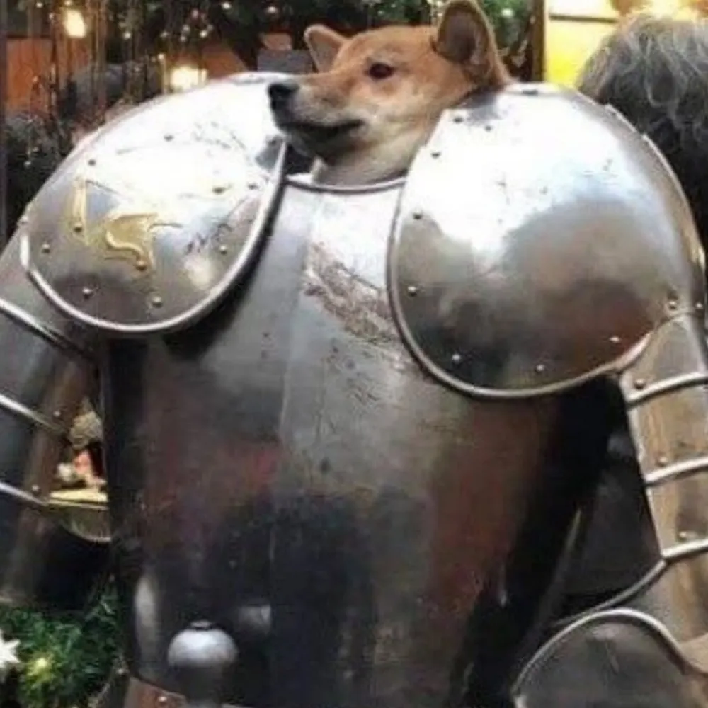 fenderbellybodine.bsky.social's profile picture