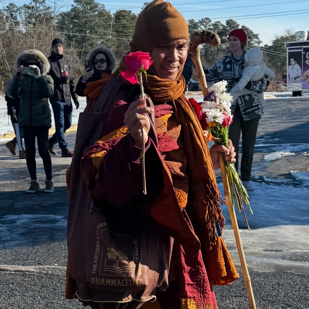 bebe1960.bsky.social's profile picture