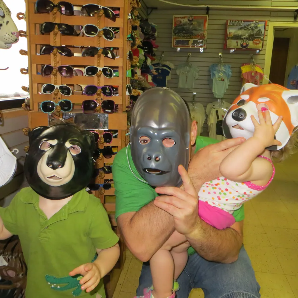 gregofsa.bsky.social's profile picture