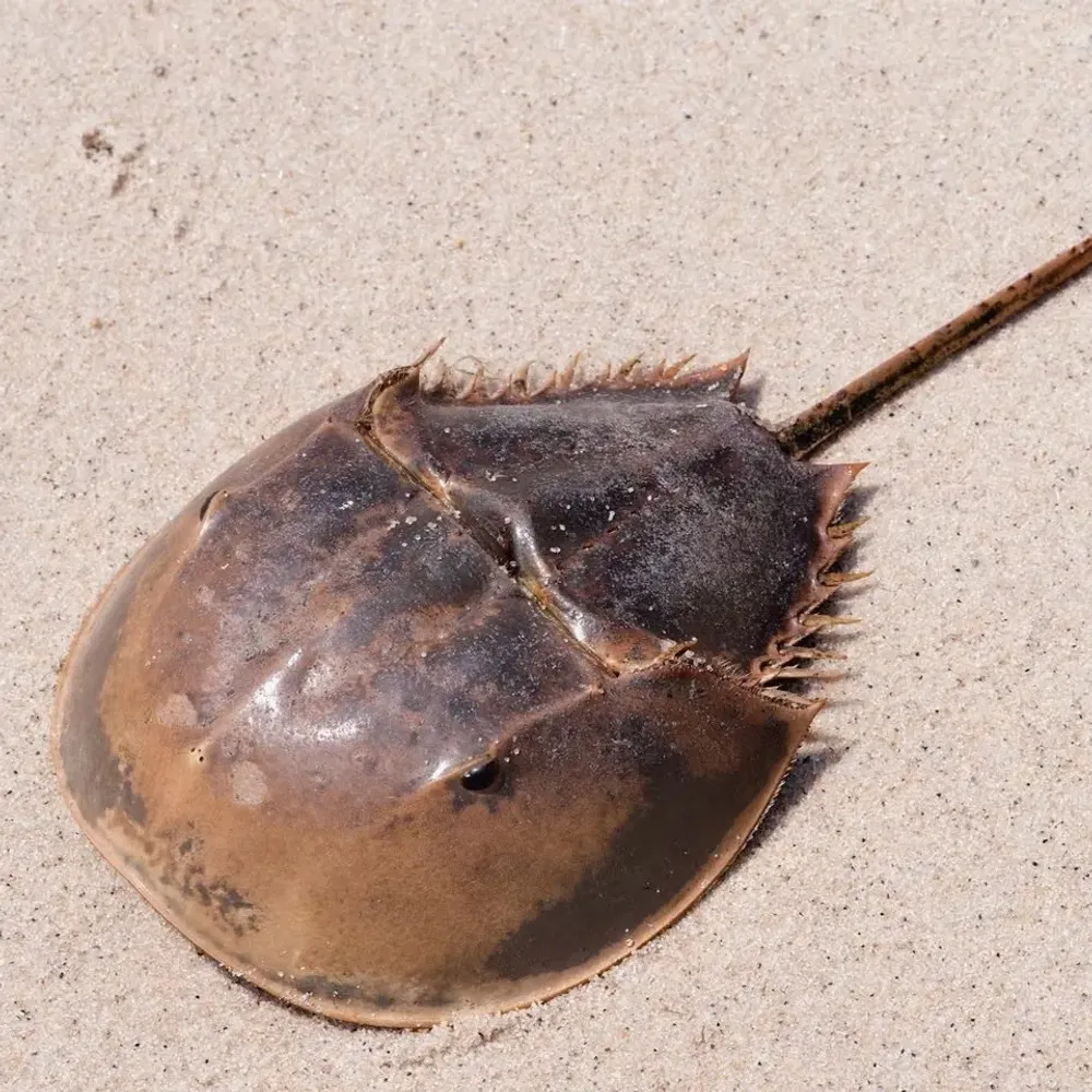 mcrose80.bsky.social's profile picture