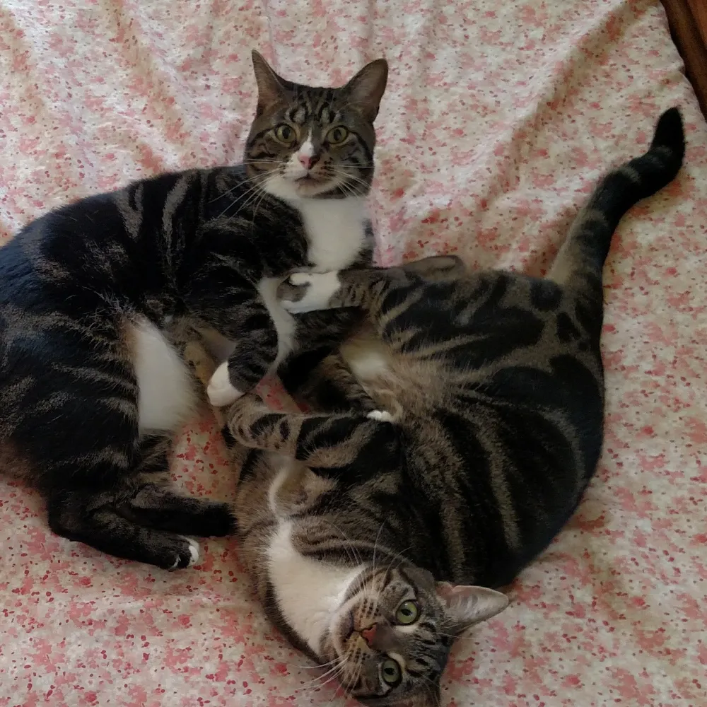 donnamusgrove.bsky.social's profile picture