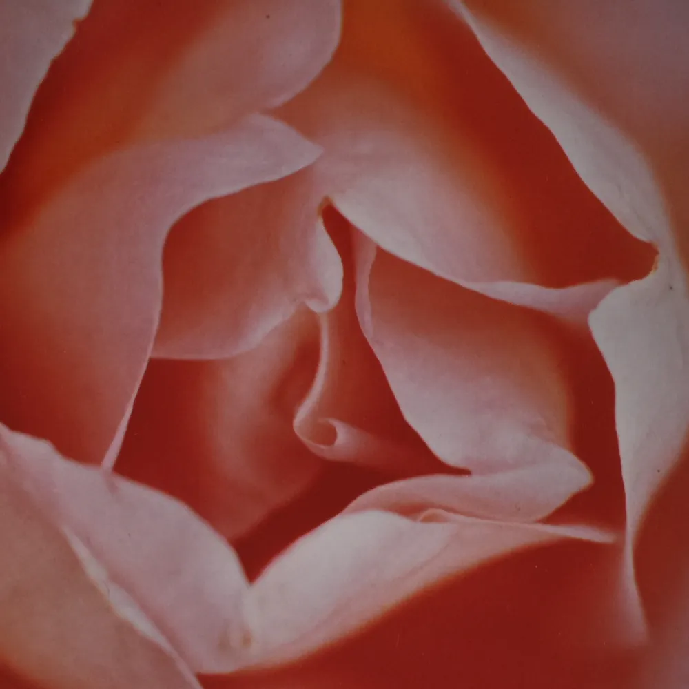 columbia57.bsky.social's profile picture