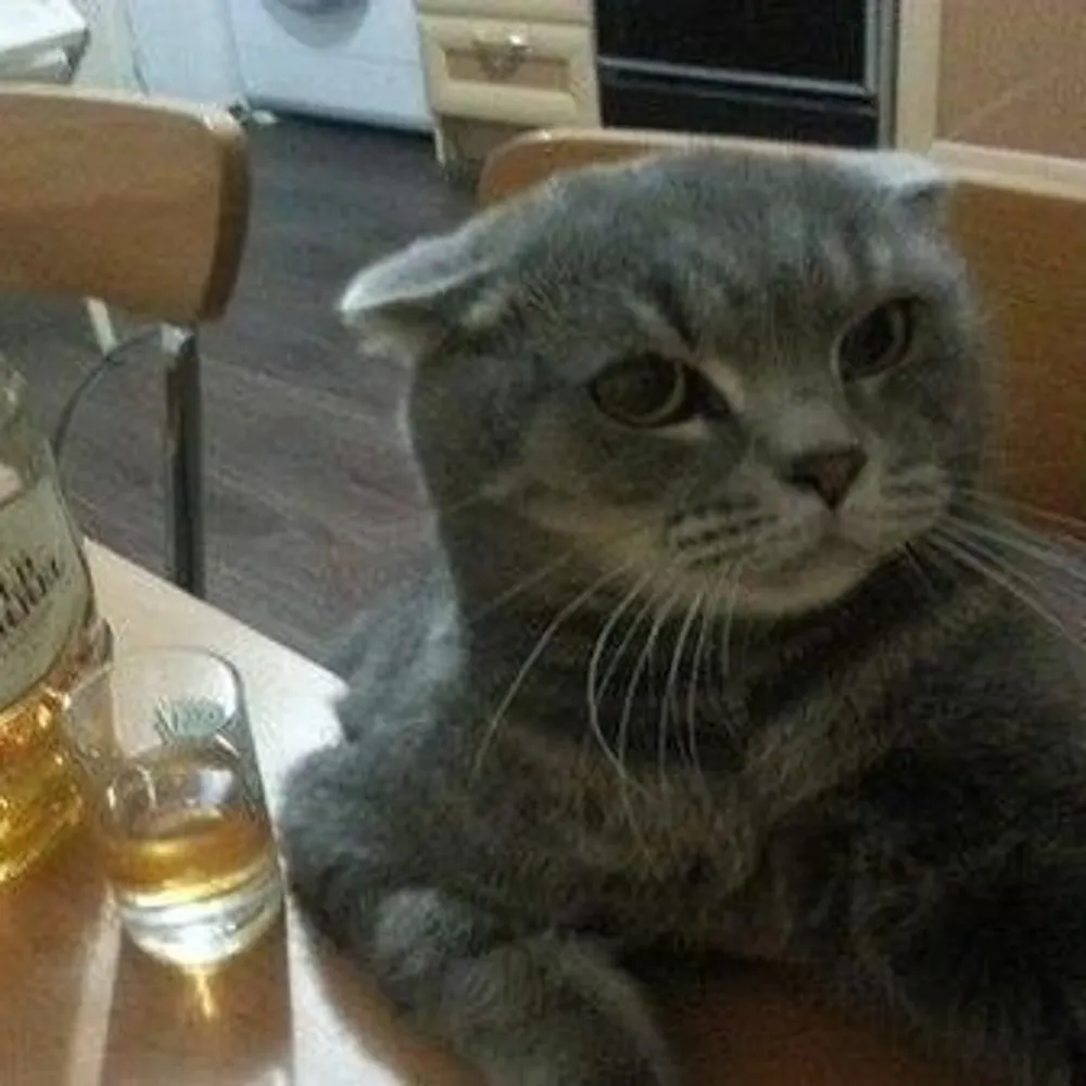 splatterthought.bsky.social's profile picture