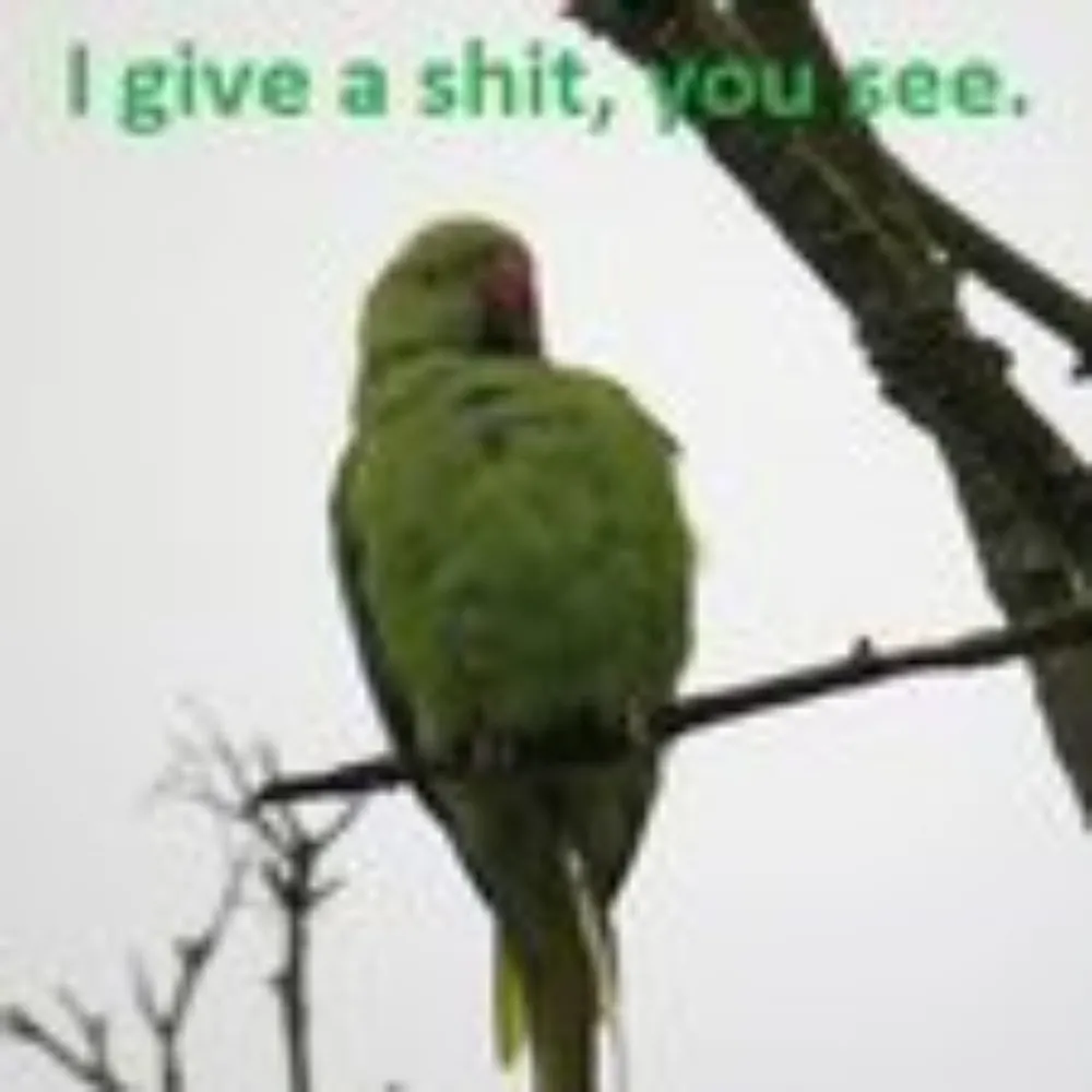 minionofmidas.bsky.social's profile picture