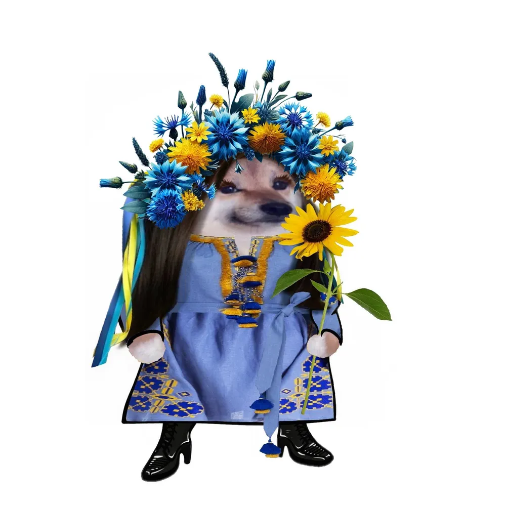 lisafarrar.bsky.social's profile picture