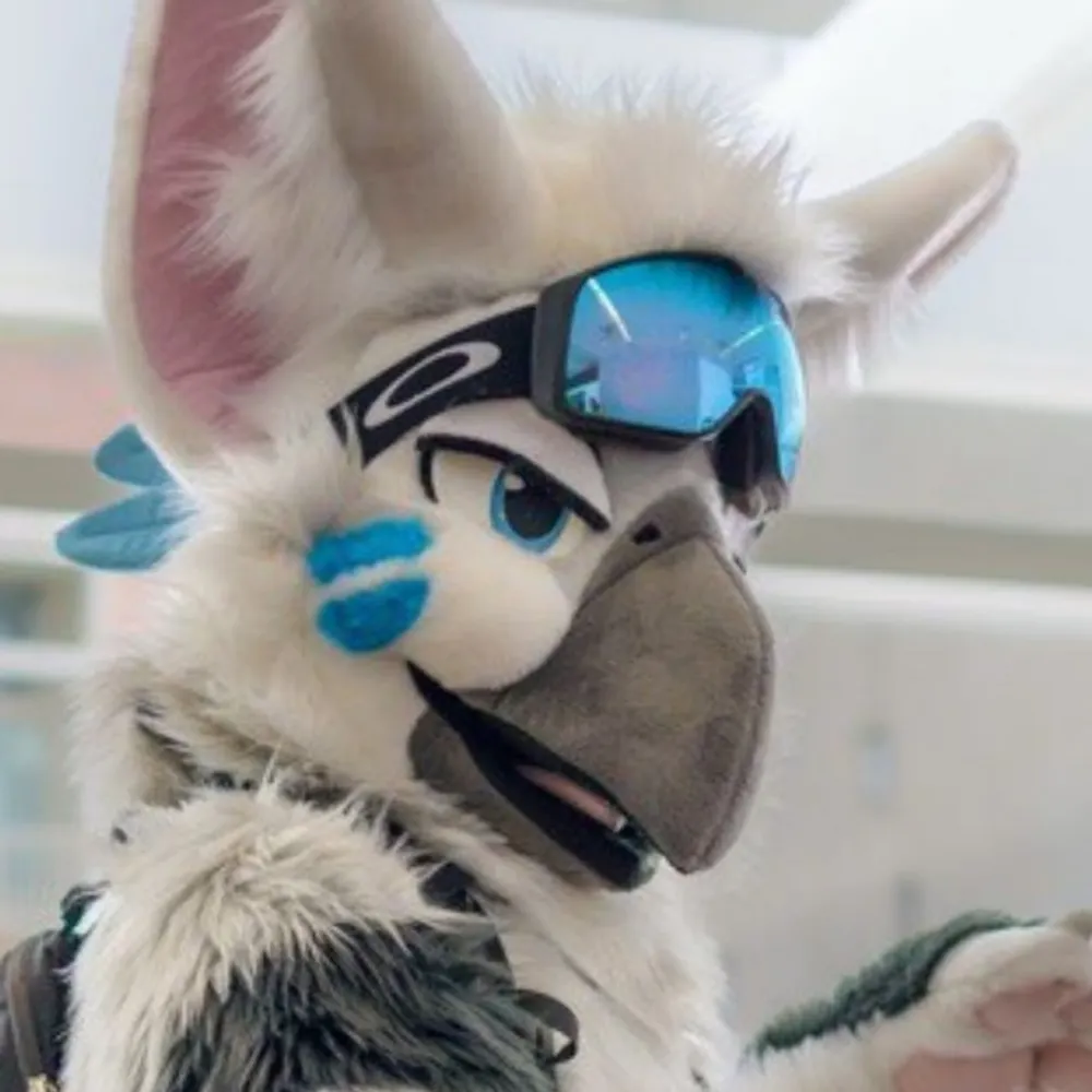 thunderfennec.bsky.social's profile picture
