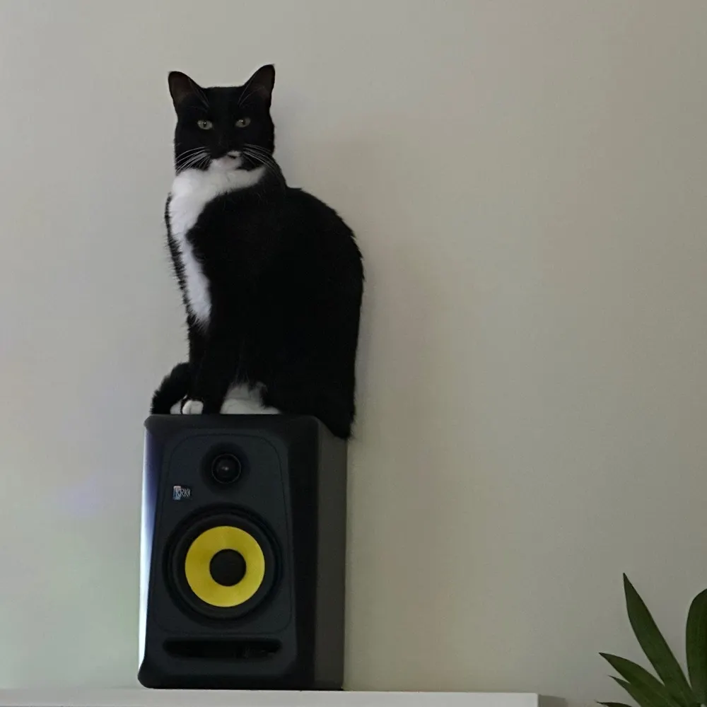 kurtheiden.bsky.social's profile picture